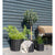 Cort Plaid - Plaid, bomuld, mørkegrå/hvid, design C 130x160 cm