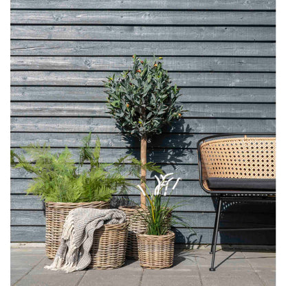 Cort Plaid - Plaid, bomuld, mørkegrå/hvid, design C 130x160 cm