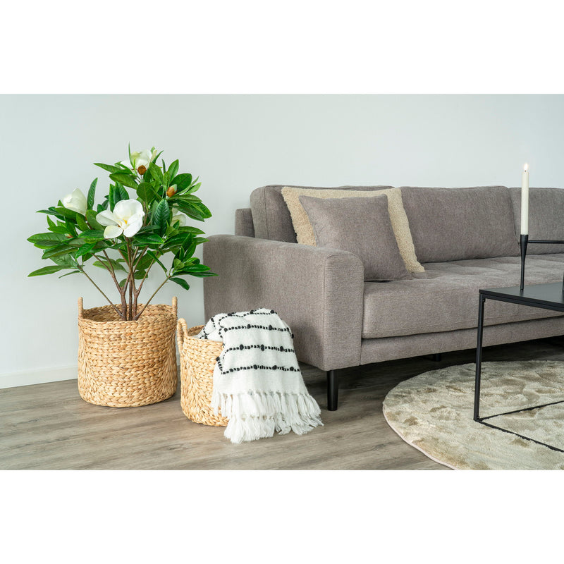 Passo kurve - Kurve, vandhyacint, natur, sæt af 2