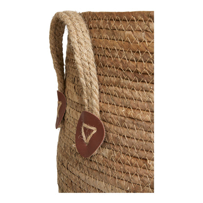 Aosta Kurve - Kurve, bananflet, natur, sæt af 2