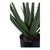 Aloe Vera - Kunstig plante, grøn H:51 cm