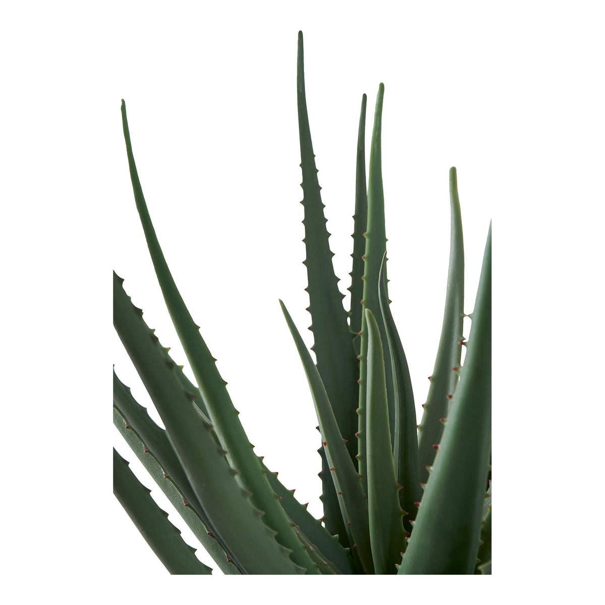 Aloe Vera - Kunstig plante, grøn H:51 cm