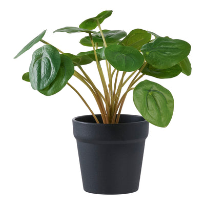 Pelia - Kunstig plante, grøn H:28 cm