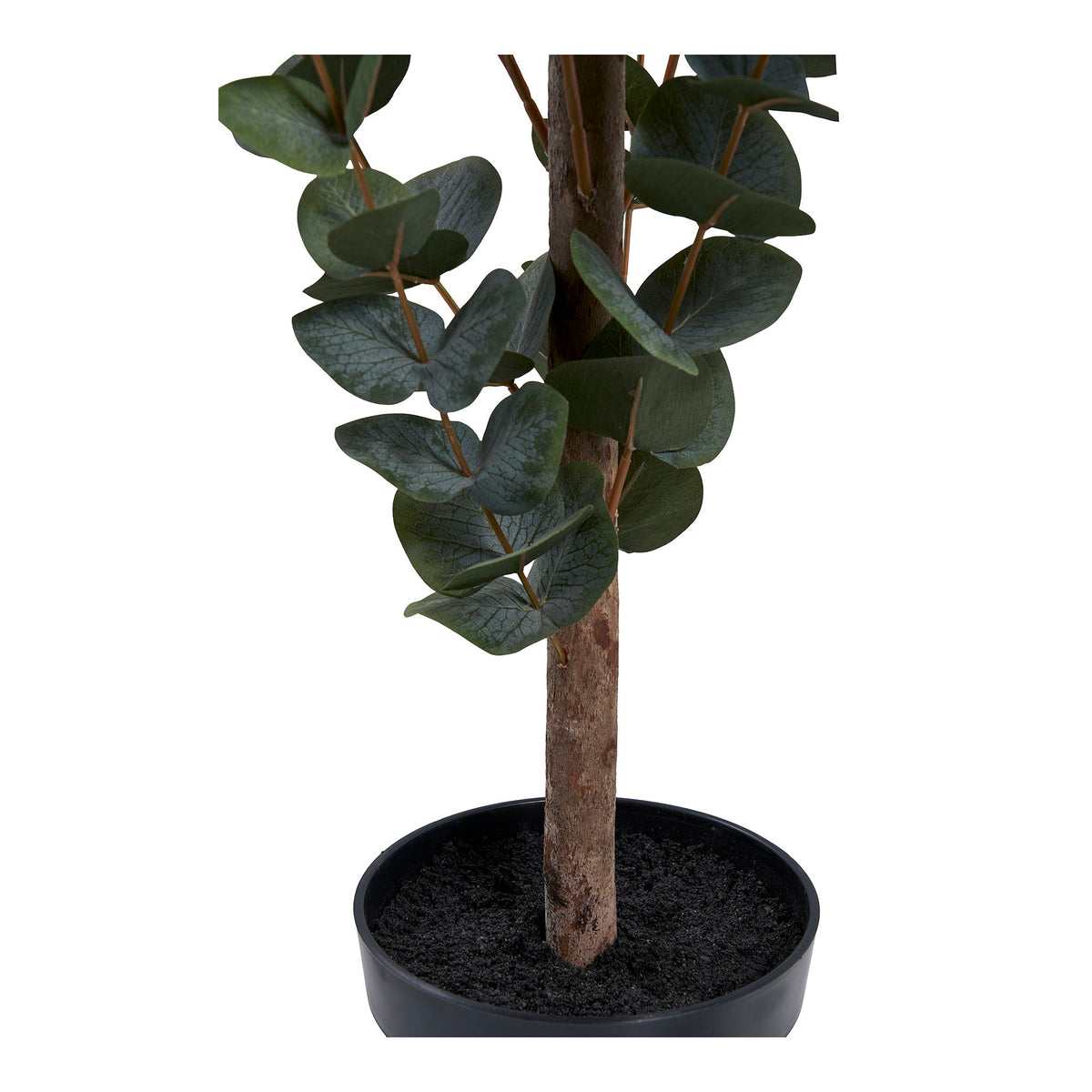 Eukalyptus Træ - Kunstig plante, grøn H:120 cm