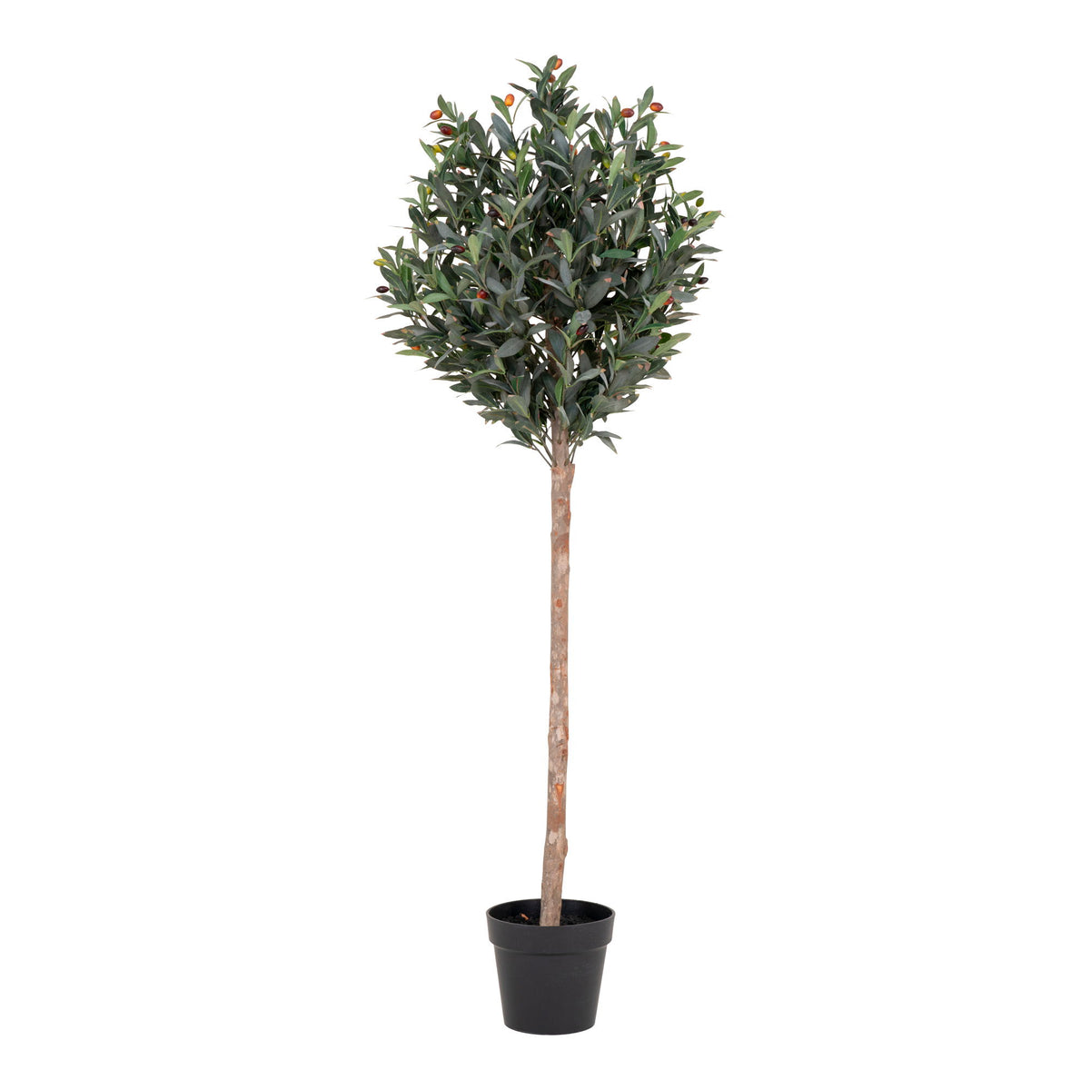 Oliventræ - Kunstig plante, grøn H:150 cm