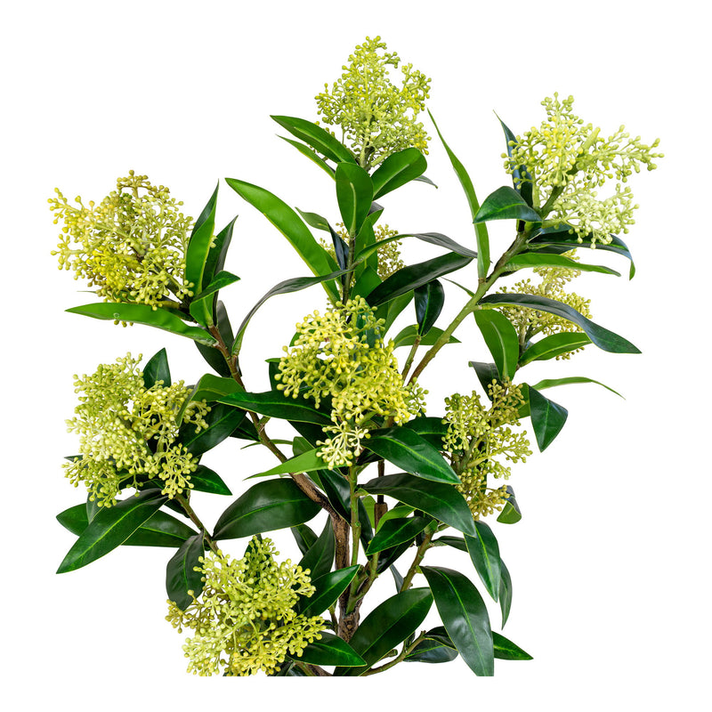 Skimmia Træ  - Kunstig plante, grøn H:75 cm