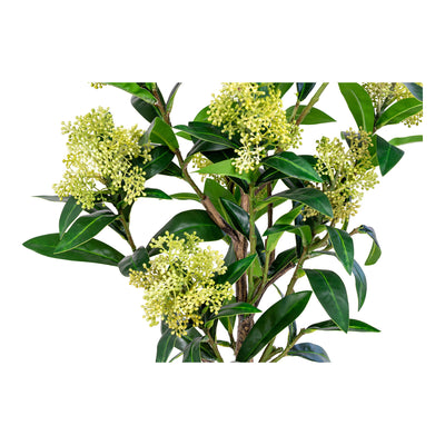 Skimmia Træ  - Kunstig plante, grøn H:75 cm