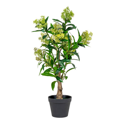 Skimmia Træ  - Kunstig plante, grøn H:75 cm